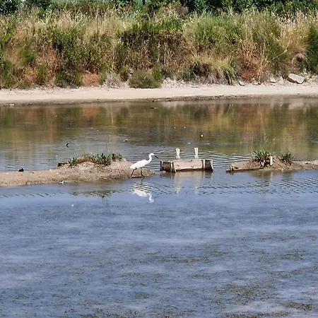 Duplex Valter Apartman Strunjan