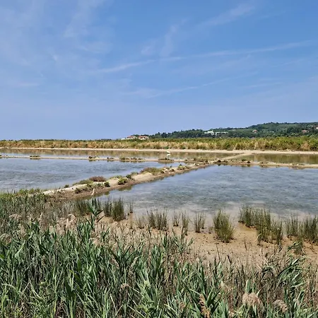 Apartman Duplex Valter *