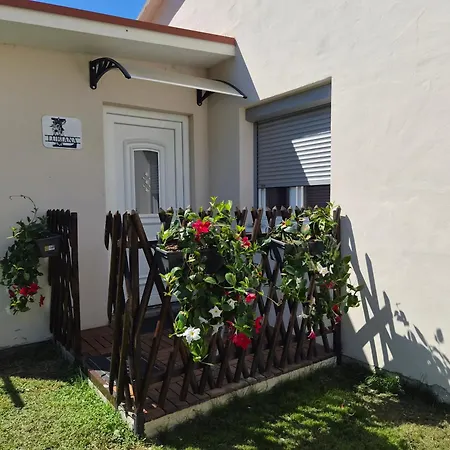 Duplex Valter