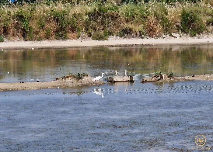 Duplex Valter Διαμέρισμα Strunjan