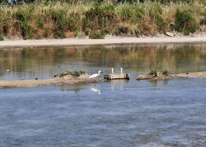 Duplex Valter Apartma Strunjan